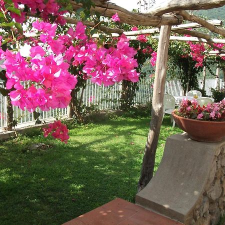 Bouganville Home Vietri 外观 照片